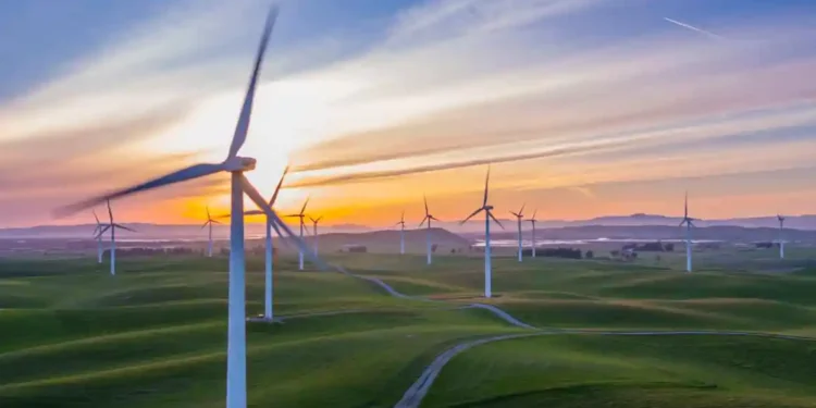 Amazon’s First Large-Scale Wind Farm in Brazil: A Detailed Overview