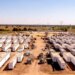 US$559 Million Secured for 1GW Scatter Wash Battery Storage Complex in Arizona