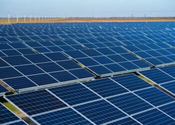 $590 Million Secured for Texas Hornet Solar Project