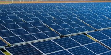 $590 Million Secured for Texas Hornet Solar Project
