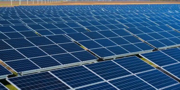 $590 Million Secured for Texas Hornet Solar Project