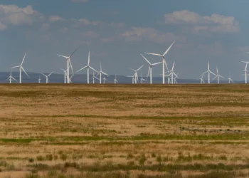 Onshore Wind Projects Halt in Texas