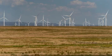 Onshore Wind Projects Halt in Texas