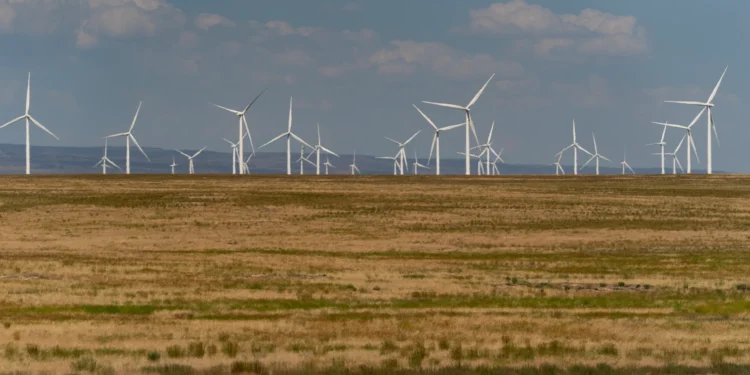 Onshore Wind Projects Halt in Texas