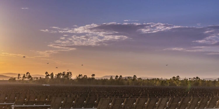 Bulli Creek Solar-Battery Project