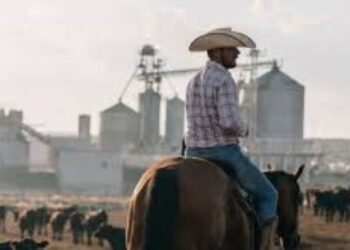 Neogenyx Fuels and Adams Land & Cattle Renewable Natural Gas (RNG) Facility Project in Broken Bow, Nebraska